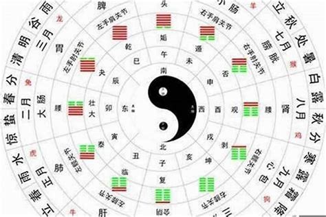 金木水火土数字|五行金木水火土对应的数字查询表